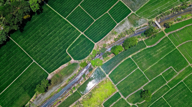Farmlands